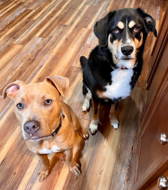 Benny and Harley